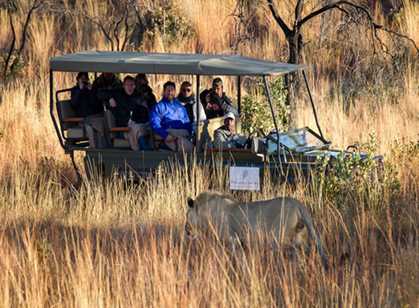 Welgevonden Private Game Reserve